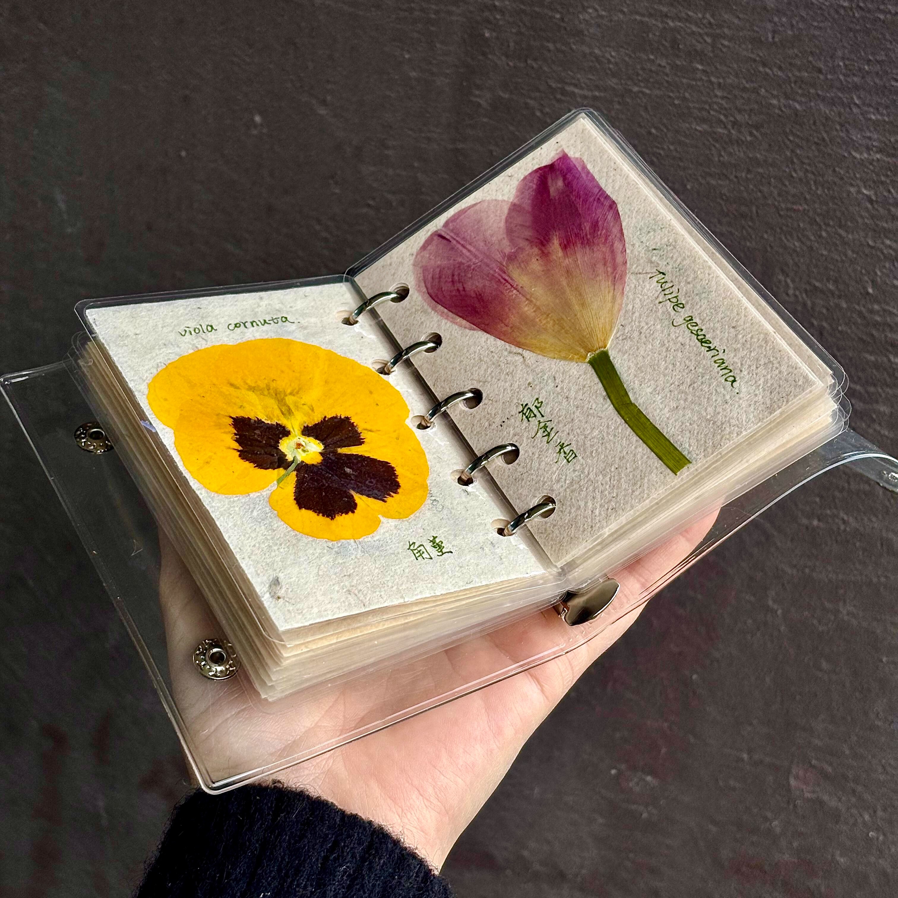 M5高透植物标本压花手账本