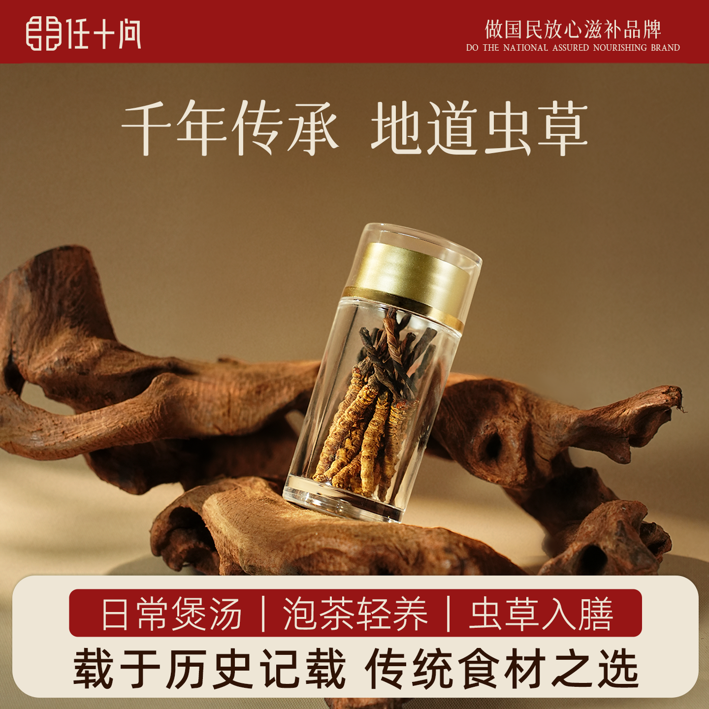 西藏那曲纯野生15根/瓶冬虫夏草干虫草推荐自用约2.5g【任十问】