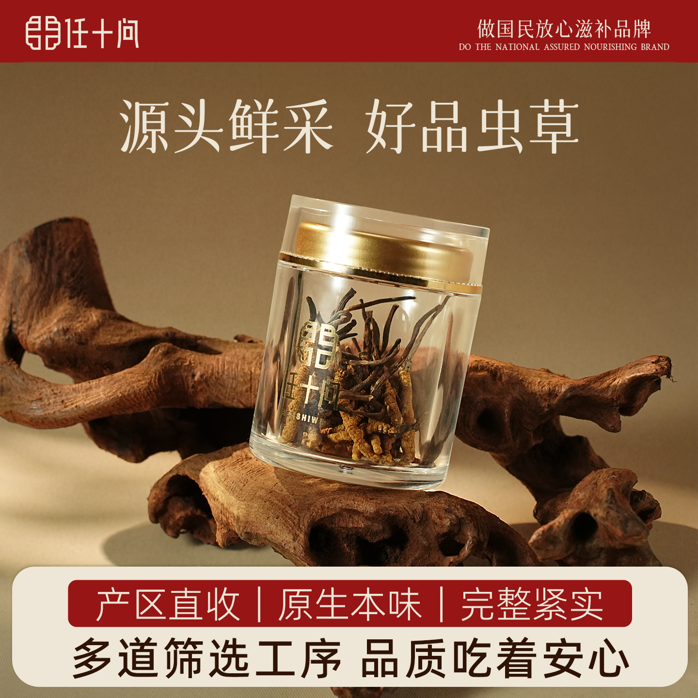 任十问西藏那曲纯野生30根/瓶冬虫夏草干虫草推荐自用约5.5g瓶装