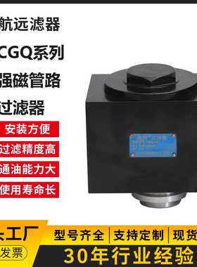 CGQ-12 强磁管路过滤器 CGQ12管路过滤器 【信航远】