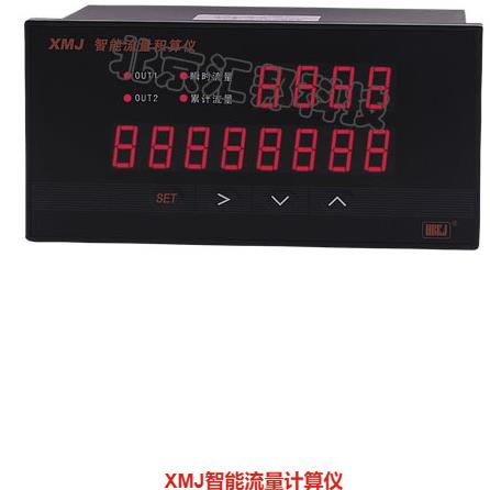 XMJ-10V XMJ-10V -RS485智能流量积算仪北京汇邦HBKJ