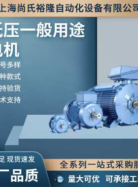 HDS100-0308ASKNS三相异步电动机铝壳电机HDS100-0308AMKNS现货
