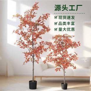 仿真植物秋色福禄桐树尤加利叶金钱叶树室内落地盆景北欧风装饰