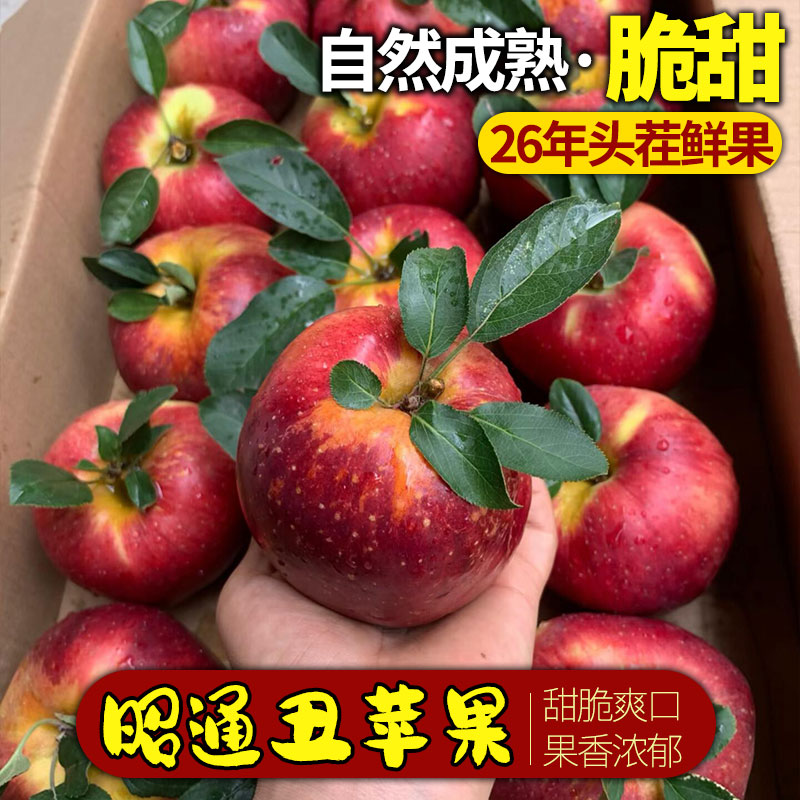 昭通冰糖心丑苹果脆甜多汁
