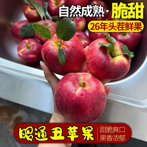 昭通冰糖心丑苹果脆甜多汁