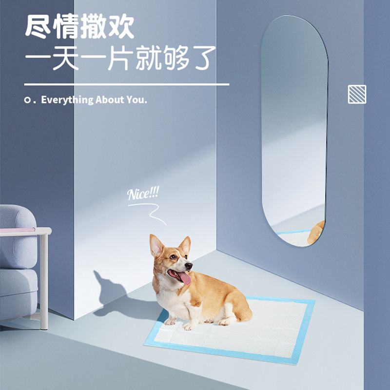 狗狗尿片宠物用品加厚吸水纸垫除臭泰迪尿不湿100片尿垫狗尿布