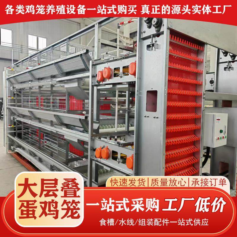 层叠式全自动蛋鸡笼大型鸡场养鸡设备自动化捡蛋清粪大层叠蛋鸡笼