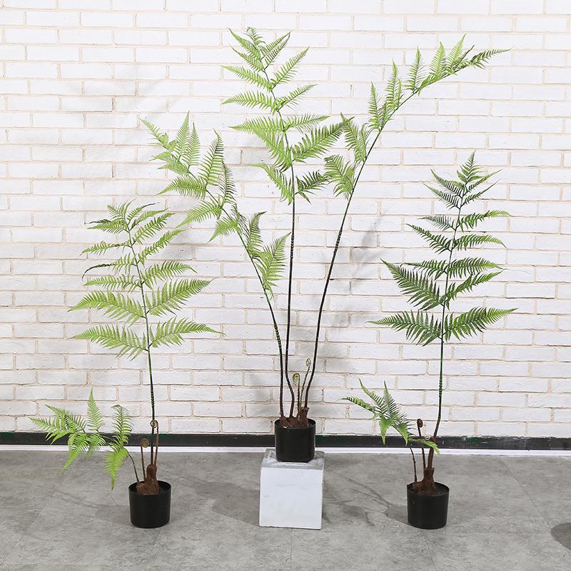 仿真猴头蕨金毛狗蕨假树室内中式园林系庭院造景装饰绿植盆栽