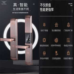 飞球指纹锁 FQ-906 滑盖多功能IC卡密码锁全自动指纹锁
