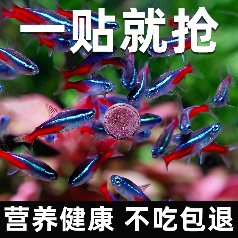 贴片鱼食小型饲料孔雀粮灯斗金热