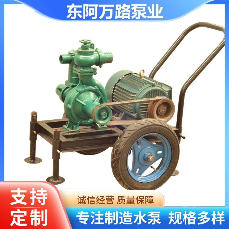 180型电动压水泵机组扬程喷灌抽水机移动方便