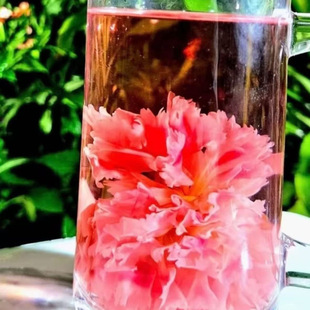 临时链接 九转黄灵花 泡水 大山里的好物