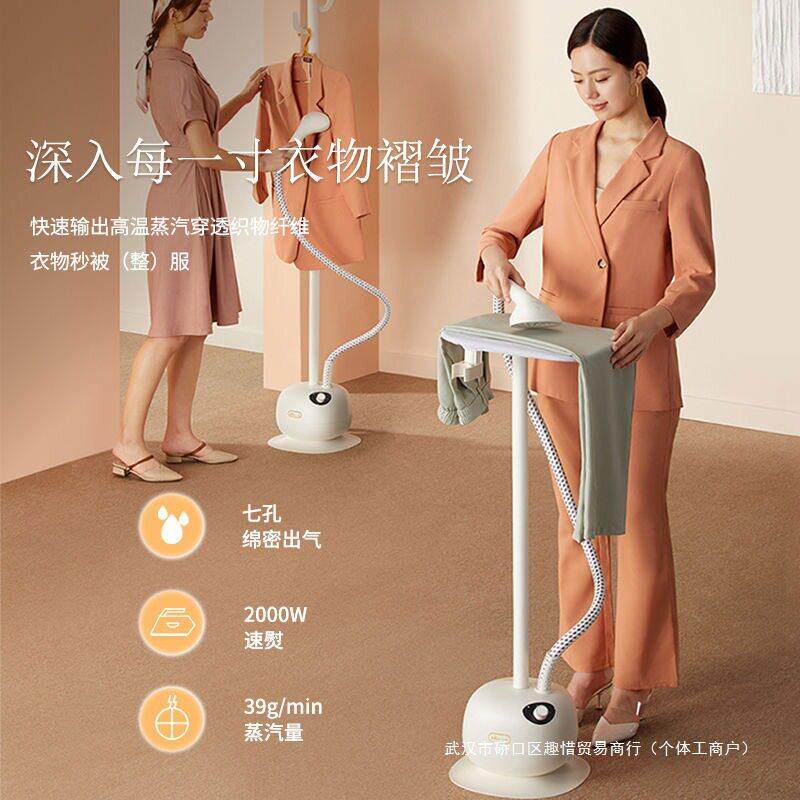挂烫机立式家用小型蒸汽熨烫机电熨斗烫衣服平挂两熨烫板