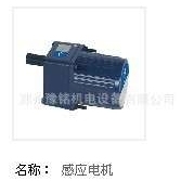 15W25W40W60W90W120W180W250W 直销 微型OTG欧特减速机