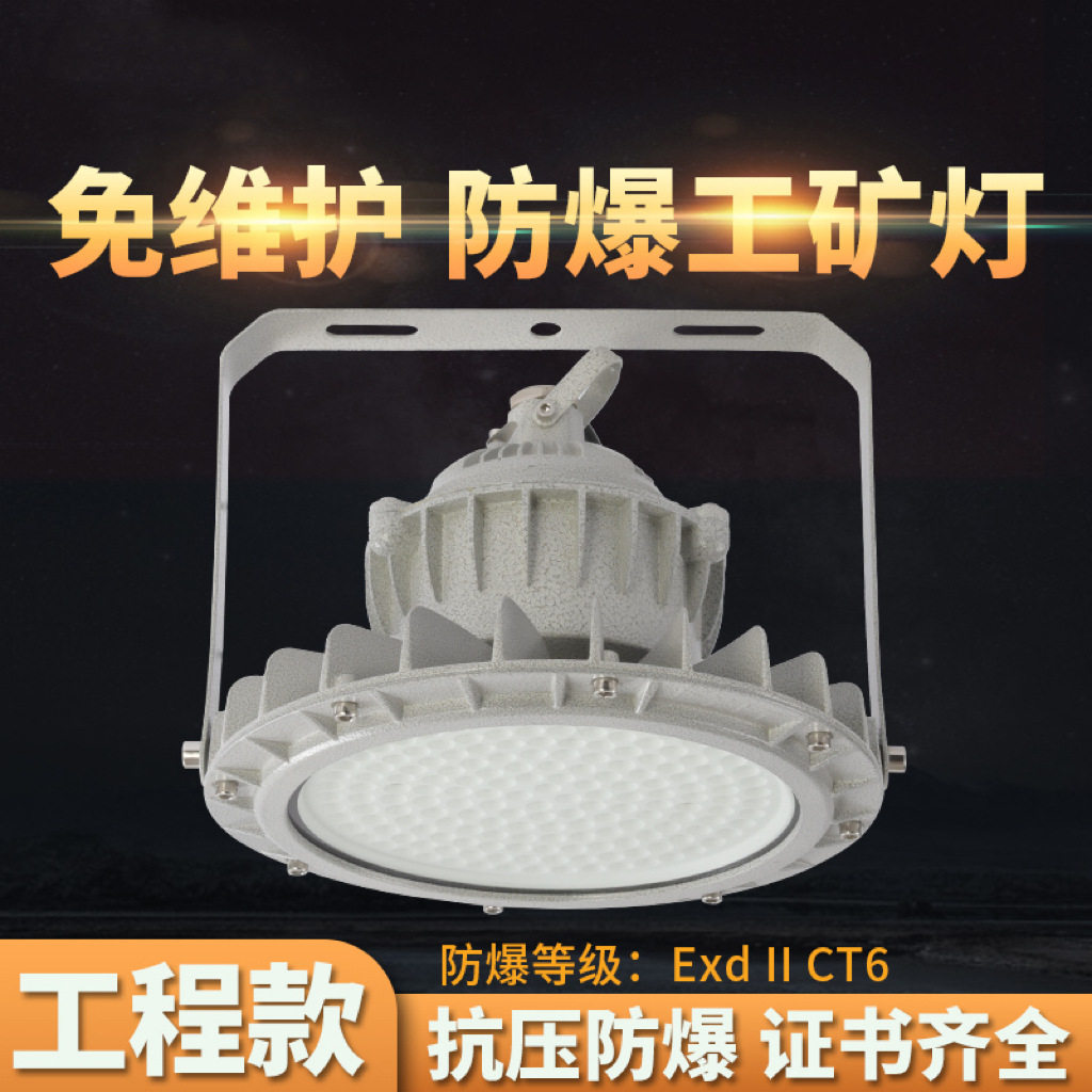 LED防爆工矿灯50W防水防尘