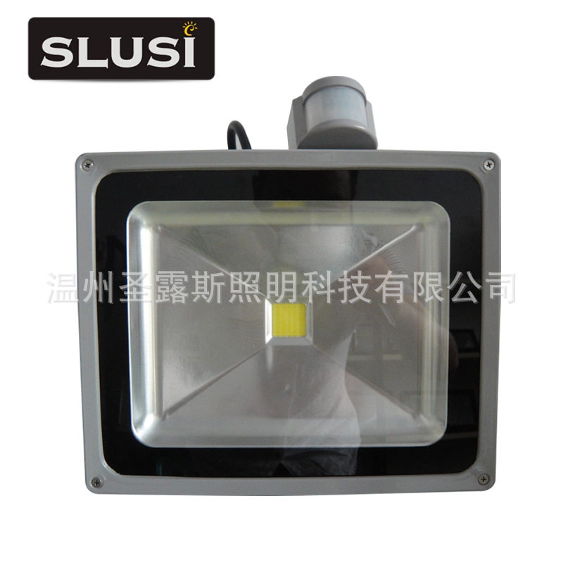 LED投光灯LED户外灯具上乘质量灯具SLS-F9024带感应器工矿灯