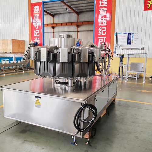 肉块大型给袋式真空包装机牛肉熟食全自动真空包装机货源稳定