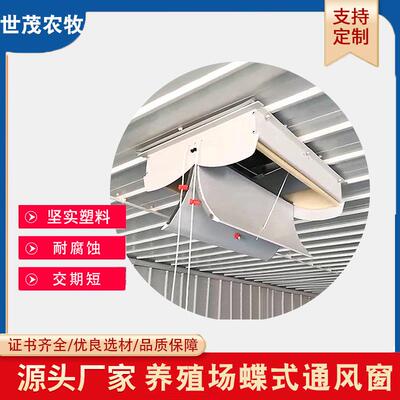 吸顶通风窗双开蝶式换气窗双开进风窗排气扇吸顶通风窗