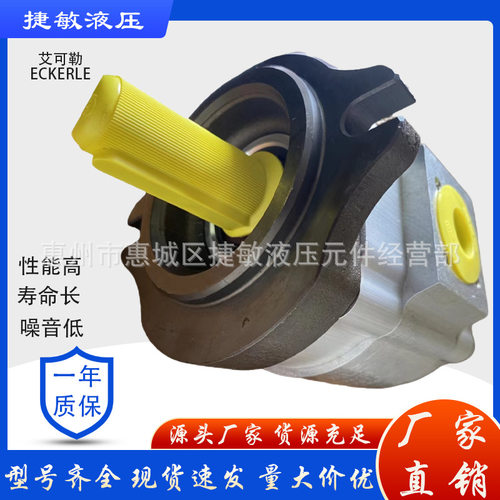 德国ECKERLE艾可勒齿轮泵EIPC5-100RA23-10 EIPC5-080RA23-10 125