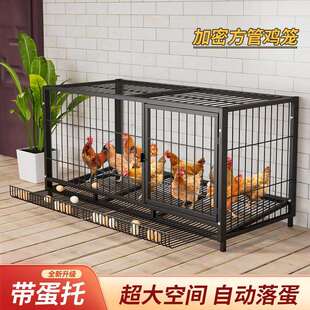 鸡笼子家用室外大号室内养殖养鸡舍专用笼铁丝鸡圈鸭鹅家禽鸽子笼