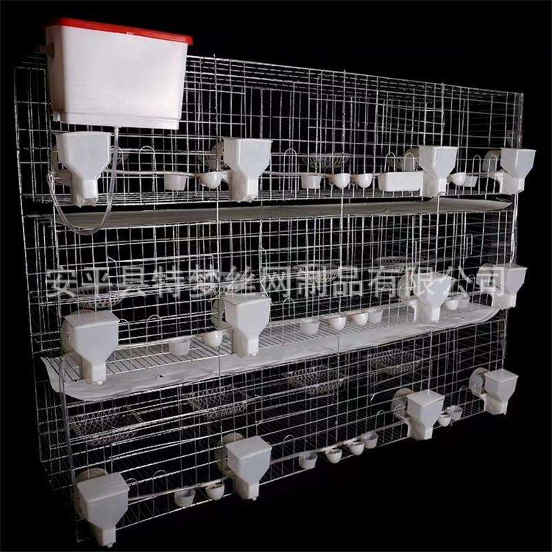 鸽笼加粗立式镀锌鸽笼河北鸽子笼子鸽笼铁网鸽笼网片