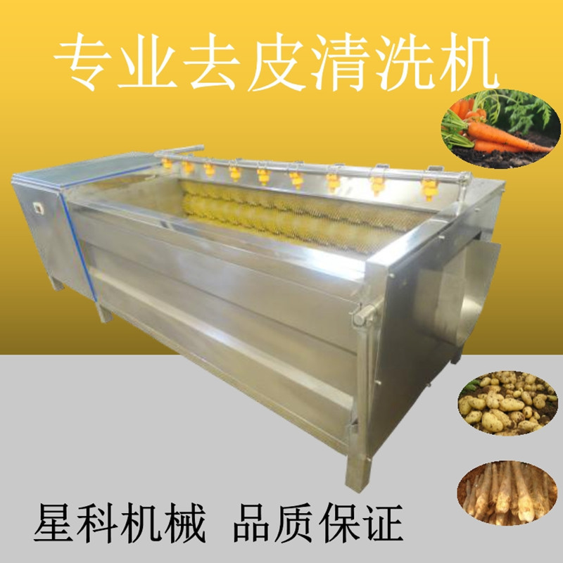 可定土豆毛刷去皮机 莲藕大姜毛辊清洗机自动出料红薯洗泥去皮机