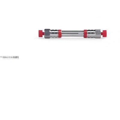 31605-204630赛默飞ThermoC18色谱柱分析柱4.6*200mm,5um