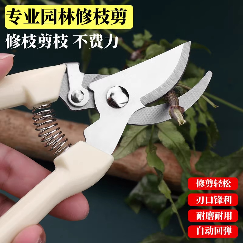 剪树枝剪刀专用花剪园艺园林图片