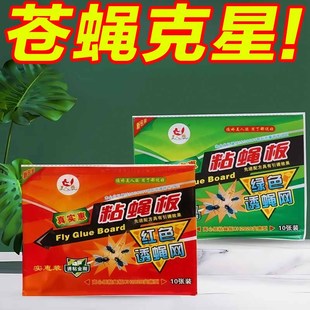 粘蝇纸强力苍蝇贴粘蝇板粘贴纸捕苍蝇膏板引诱灭蝇家用灭蝇神器