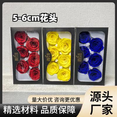 花者保鲜花A级墨绿色玫瑰5-6cm云南永生花diy玫瑰花头花卉