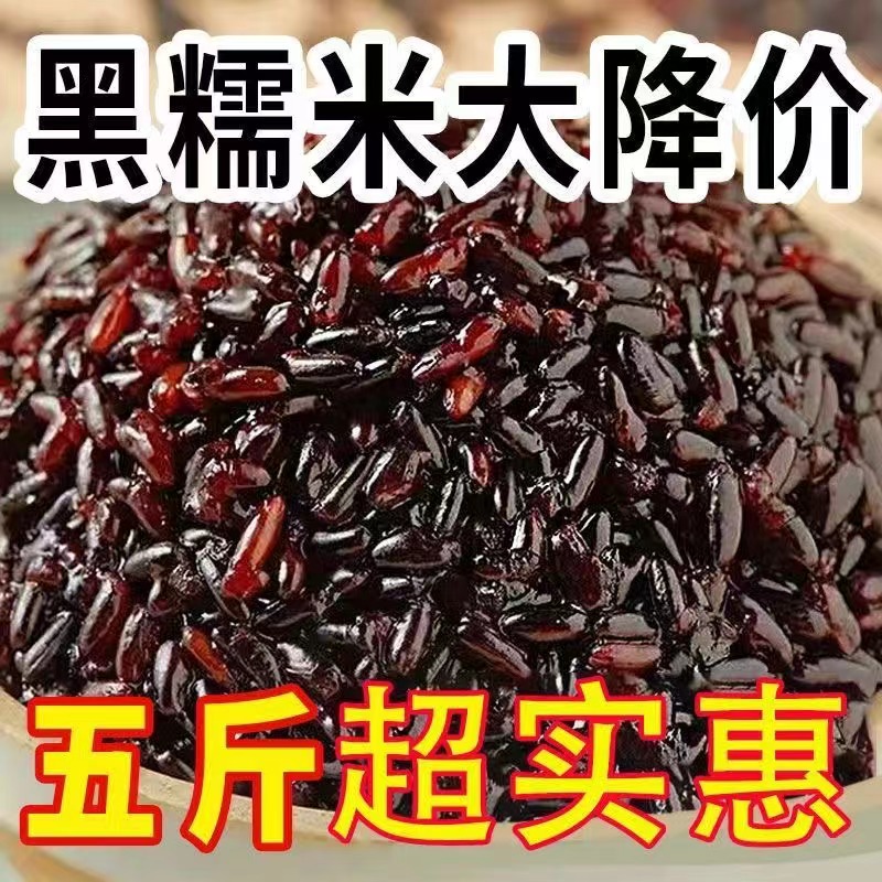 黑血糯米黑糯米粘糯粽子专用糯米煮粥紫糯米东北酿酒血糯米商用