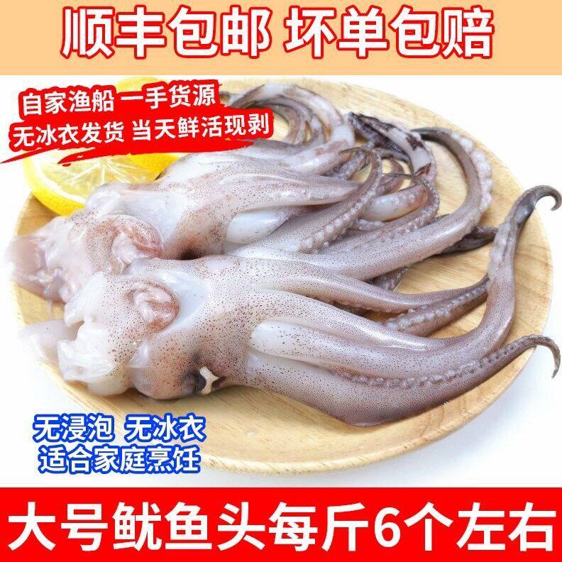 无冰衣新鲜大鱿鱼铁板鱿鱼头冷冻鱿鱼须速冻八爪鱼涮火锅顺丰包邮