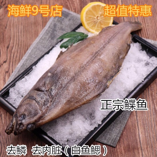 鲽鱼 二去鲽鱼 深海鲽鱼 野生新鲜海产品 鲜活海鲜 鲜活速冻发货