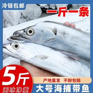 3斤6条大带鱼新鲜海鲜渤海冷冻带鱼段刀鱼中段海鱼海鲜非东海舟山
