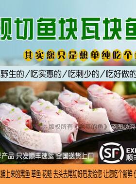 【鲜鱼块顺丰】新排瓦中
