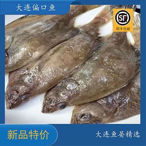 大连偏口鱼大连偏口鱼比目鱼偏口鱼批发自家渔船大连海鲜