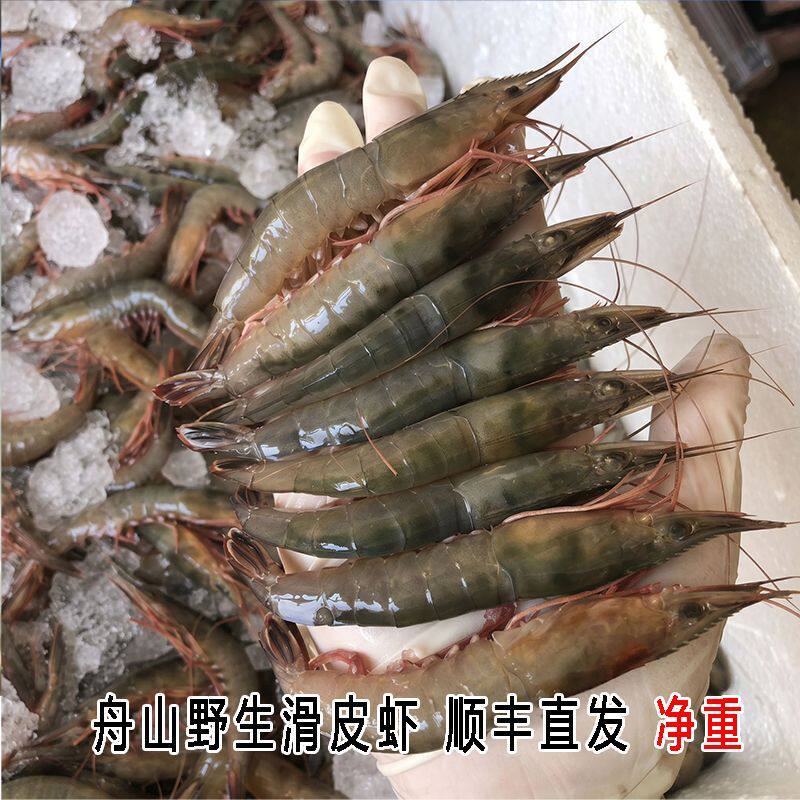 顺丰直发正宗舟山滑皮虾野生新鲜活冻大虾海捕虾深海捕捞金钩