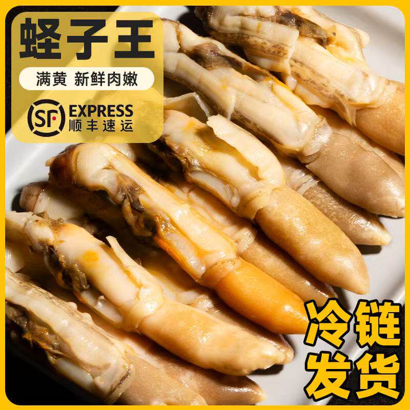 【顺丰包邮】大个蛏王肉蛏子鲜活竹节蛏圣子王海蛏子新鲜冷冻竹蛏