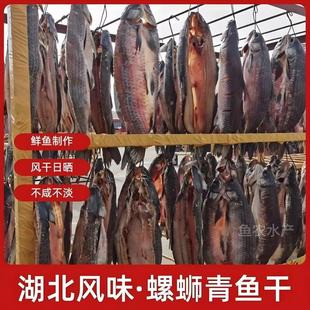 湖北特产青鱼干水产干货大青鱼干整条年货节礼品螺蛳青鱼干顺丰