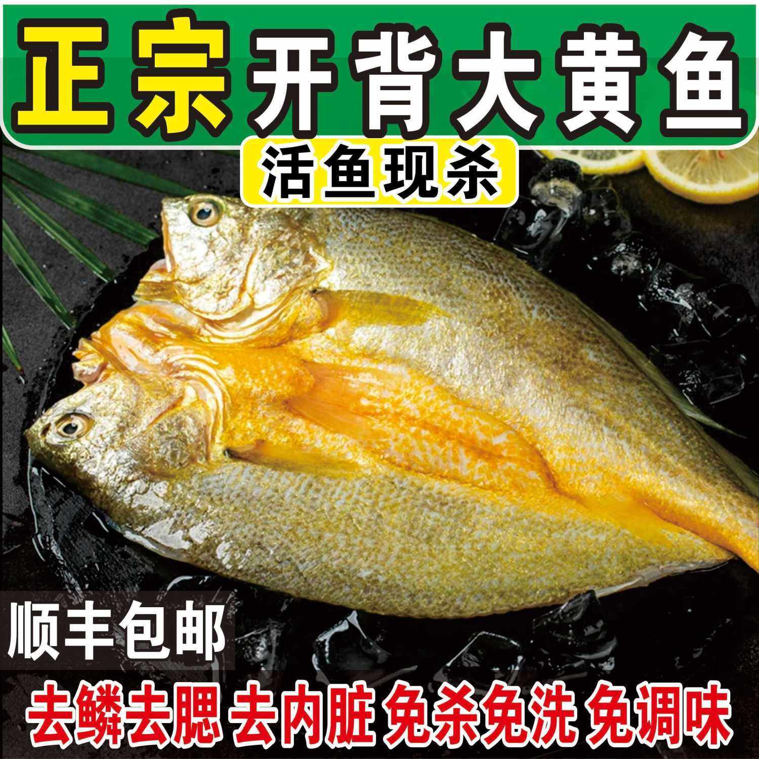 【顺丰】宁德黄鱼鲞正宗大黄鱼霞浦咸香黄花鱼新鲜无冰腌制送礼