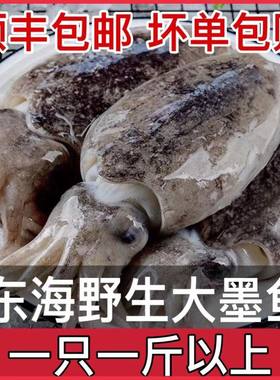 大墨鱼新鲜冷冻墨斗鱼东