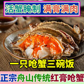 红膏呛蟹特产舟山宁波正宗咸炝蟹鲜活腌制母蟹生腌蟹即食生腌海鲜