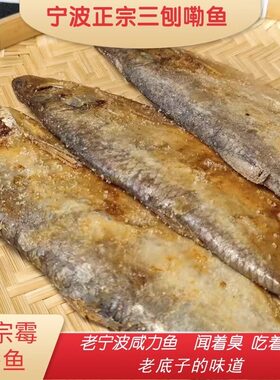 宁波带籽三刨霉鳓鱼咸鱼干货三刨咸鳓鱼咸香白磷鱼臭香力鱼梅香鱼