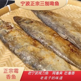 宁波带籽三刨霉鳓鱼咸鱼干货三刨咸鳓鱼咸香白磷鱼臭香力鱼梅香鱼