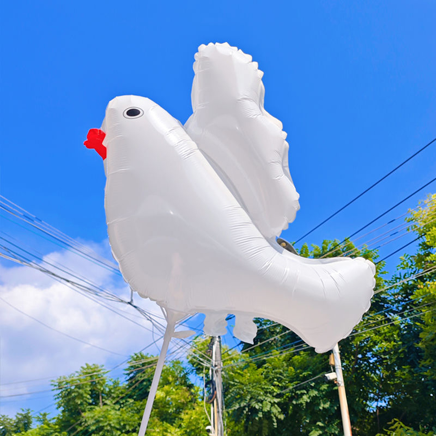 网红手持白色和平鸽子铝膜气球幼儿园运动会开幕式户外拍照道具