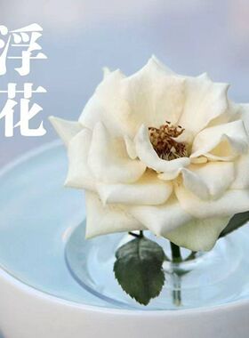 漂浮花插新款鱼缸侘寂风插网红花器鲜花水培器皿花盆花瓶客厅花槽