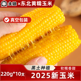 25年头茬新鲜糯玉米棒10支东北黄甜糯玉米苞米真空装 轻食早餐代餐