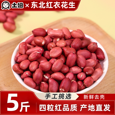 东北农家新红衣花生老品种四粒红