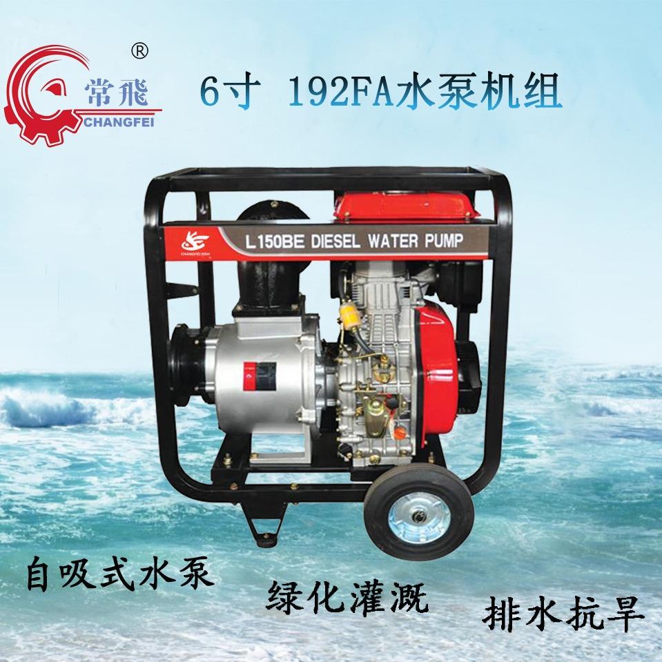 风冷水泵机组 CFK 150LM【6英寸】 配192FA系列