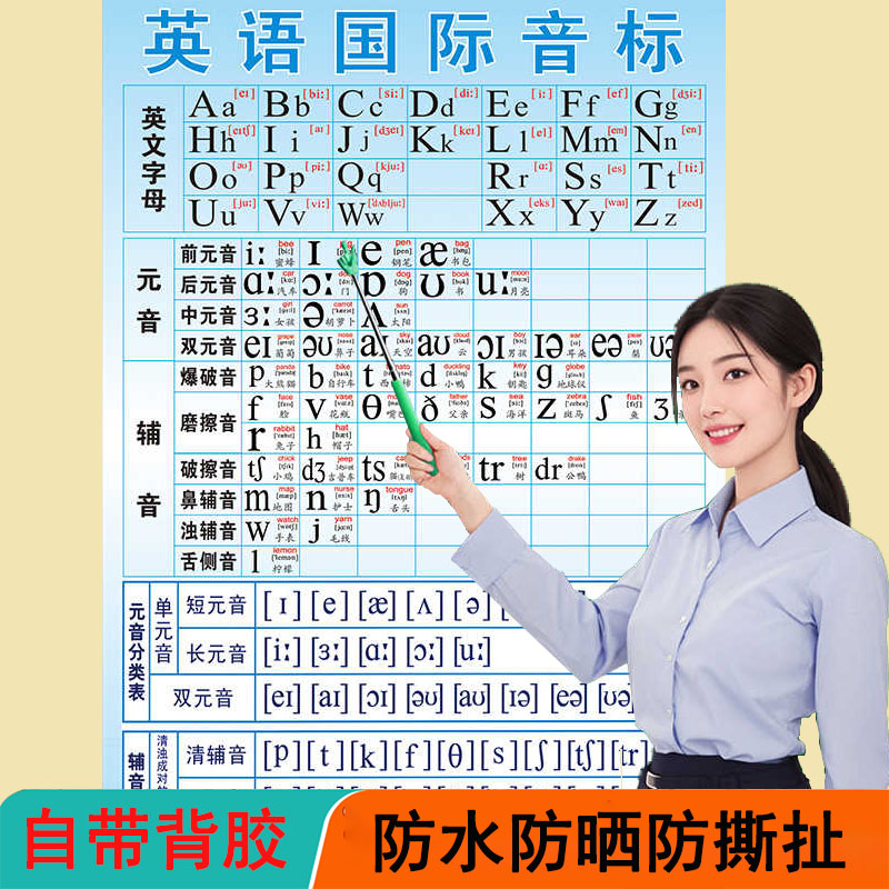 新版48个英语国际音标挂图